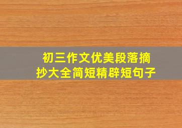 初三作文优美段落摘抄大全简短精辟短句子