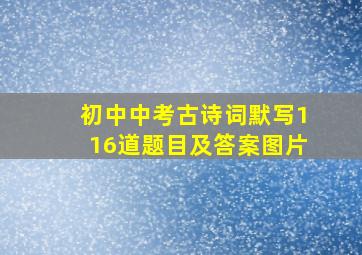 初中中考古诗词默写116道题目及答案图片