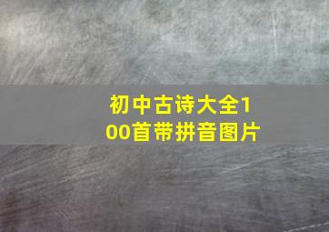 初中古诗大全100首带拼音图片