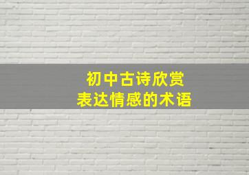 初中古诗欣赏表达情感的术语