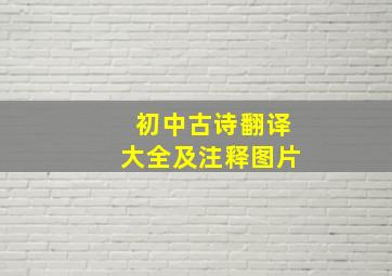 初中古诗翻译大全及注释图片