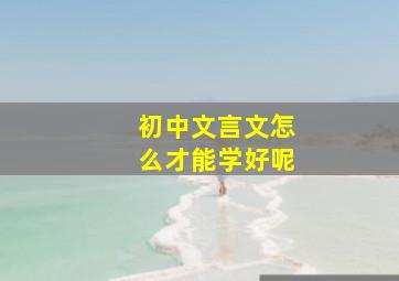 初中文言文怎么才能学好呢