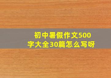 初中暑假作文500字大全30篇怎么写呀