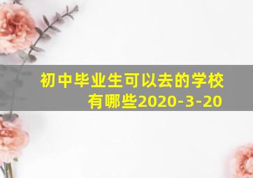 初中毕业生可以去的学校有哪些2020-3-20