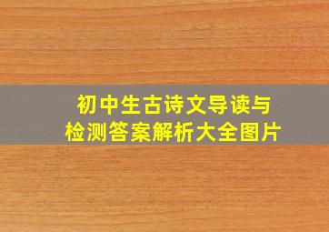 初中生古诗文导读与检测答案解析大全图片