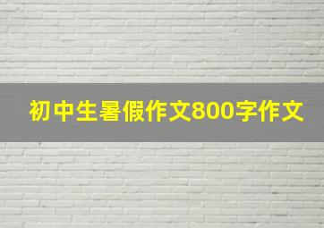 初中生暑假作文800字作文