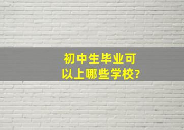 初中生毕业可以上哪些学校?