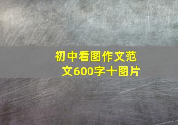 初中看图作文范文600字十图片