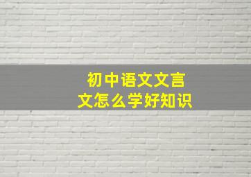 初中语文文言文怎么学好知识