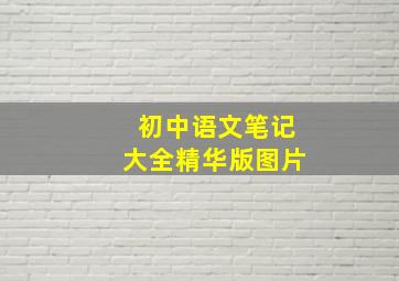 初中语文笔记大全精华版图片