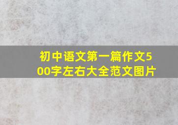 初中语文第一篇作文500字左右大全范文图片