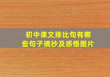 初中课文排比句有哪些句子摘抄及感悟图片