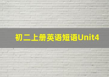 初二上册英语短语Unit4