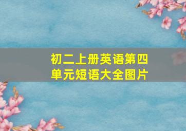 初二上册英语第四单元短语大全图片