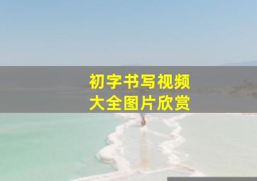 初字书写视频大全图片欣赏