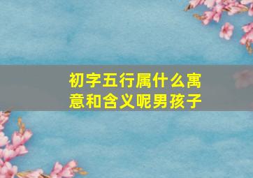 初字五行属什么寓意和含义呢男孩子