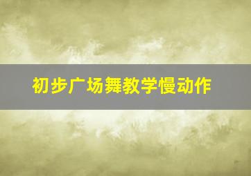 初步广场舞教学慢动作