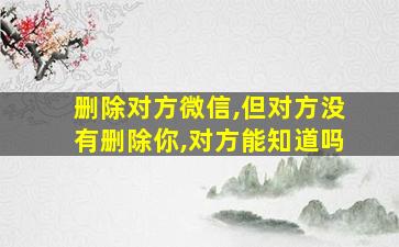 删除对方微信,但对方没有删除你,对方能知道吗