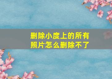 删除小度上的所有照片怎么删除不了