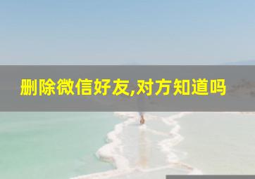 删除微信好友,对方知道吗