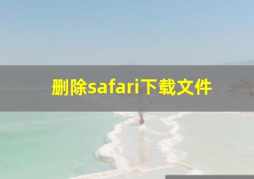 删除safari下载文件