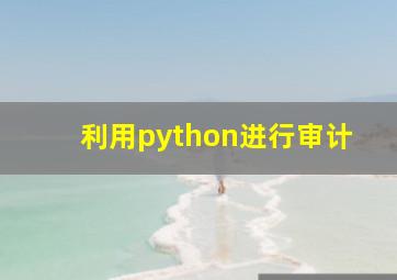 利用python进行审计