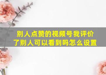 别人点赞的视频号我评价了别人可以看到吗怎么设置