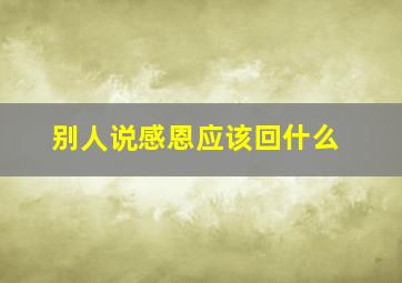 别人说感恩应该回什么