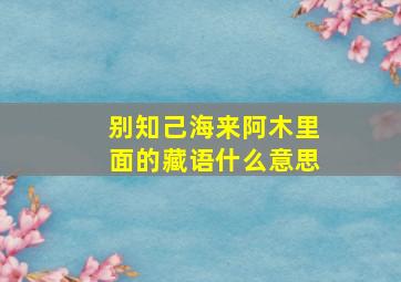 别知己海来阿木里面的藏语什么意思