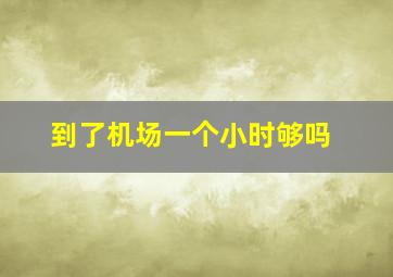 到了机场一个小时够吗