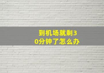 到机场就剩30分钟了怎么办