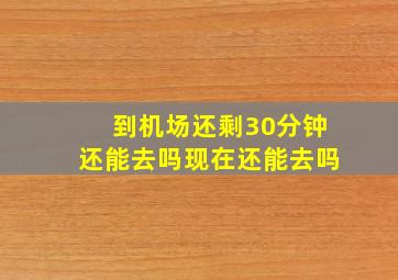 到机场还剩30分钟还能去吗现在还能去吗