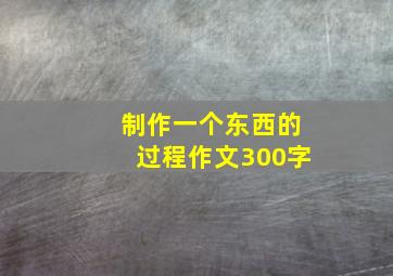 制作一个东西的过程作文300字