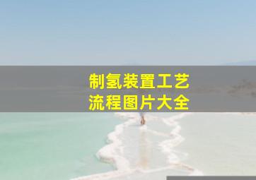 制氢装置工艺流程图片大全