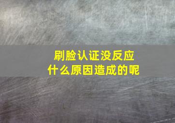 刷脸认证没反应什么原因造成的呢