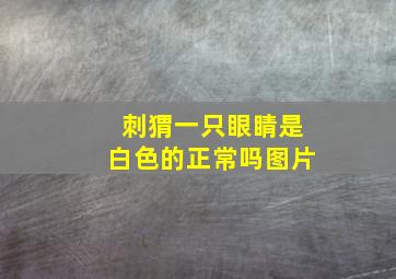 刺猬一只眼睛是白色的正常吗图片