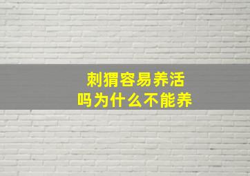 刺猬容易养活吗为什么不能养