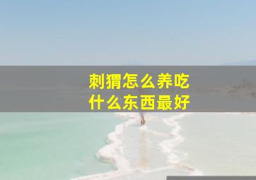 刺猬怎么养吃什么东西最好