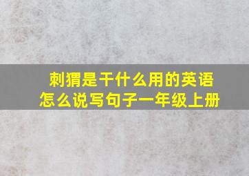 刺猬是干什么用的英语怎么说写句子一年级上册