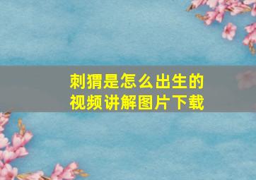 刺猬是怎么出生的视频讲解图片下载