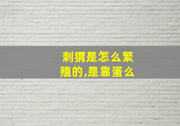 刺猬是怎么繁殖的,是靠蛋么