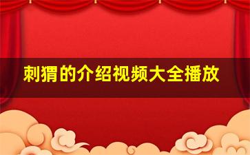 刺猬的介绍视频大全播放