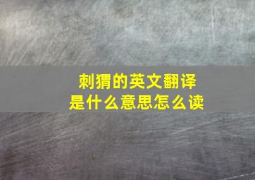 刺猬的英文翻译是什么意思怎么读