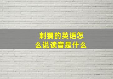 刺猬的英语怎么说读音是什么