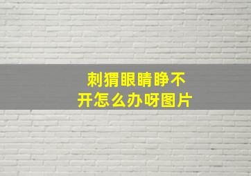 刺猬眼睛睁不开怎么办呀图片