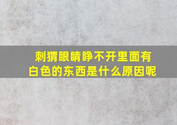 刺猬眼睛睁不开里面有白色的东西是什么原因呢