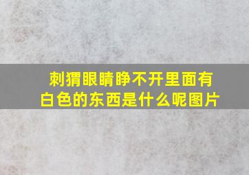 刺猬眼睛睁不开里面有白色的东西是什么呢图片