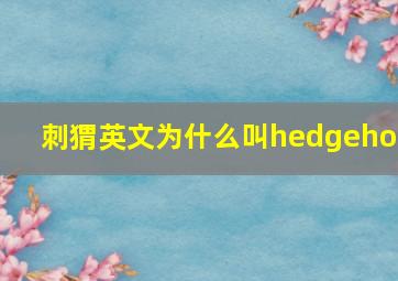 刺猬英文为什么叫hedgehog