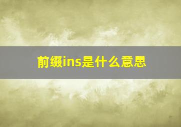 前缀ins是什么意思