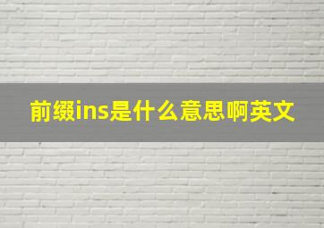 前缀ins是什么意思啊英文